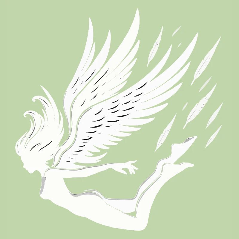 Falling angel