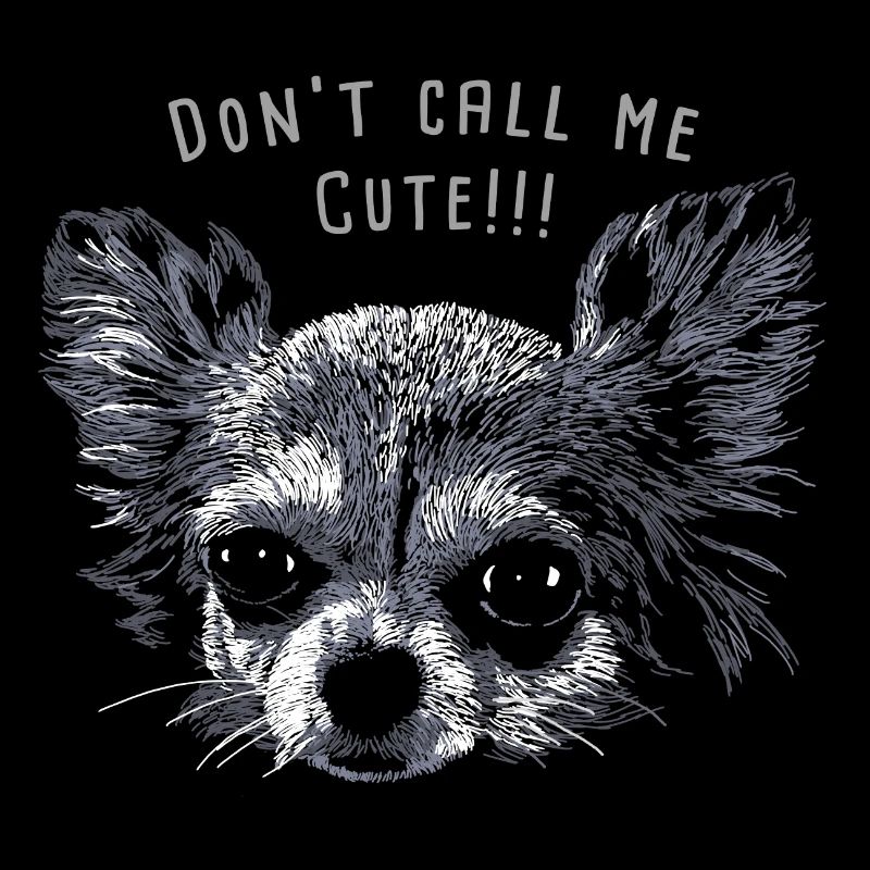 Chihuahua 01