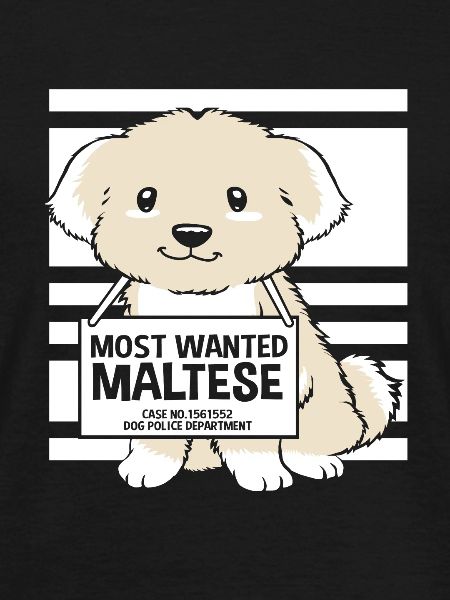 Maltese