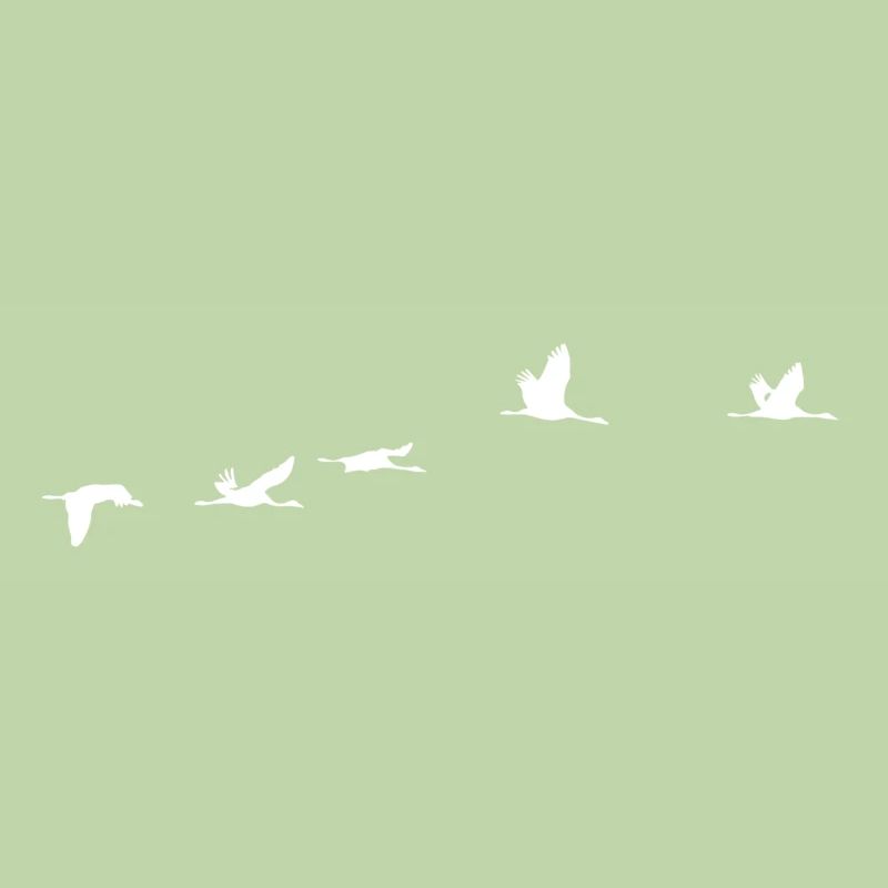 Oiseaux migrateurs blanc grue
