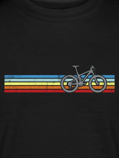 Rainbow Stripes Bicycle