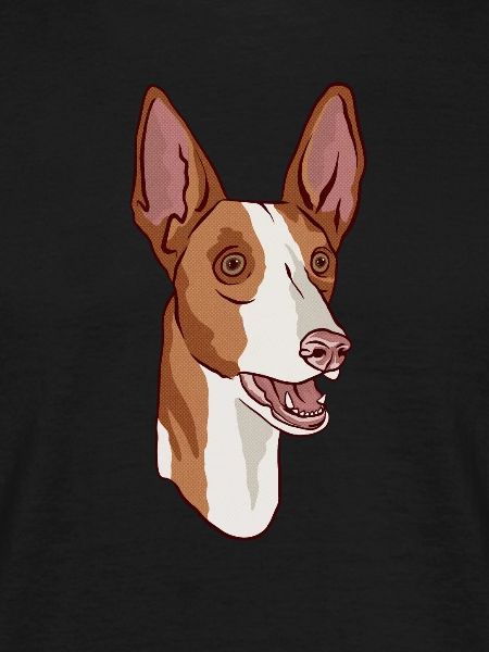 Podenco Hundekopfporträt