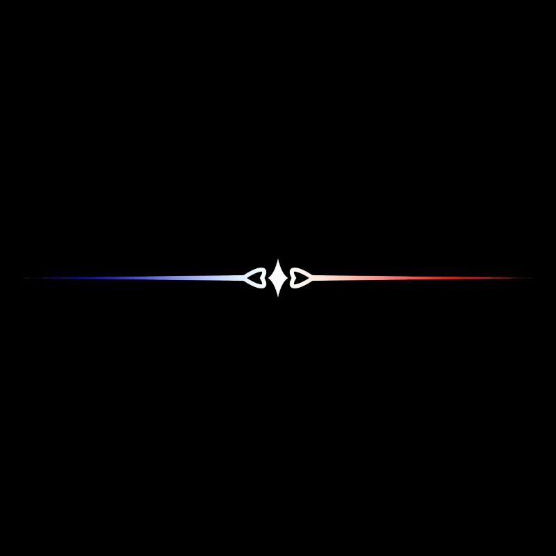 French flag