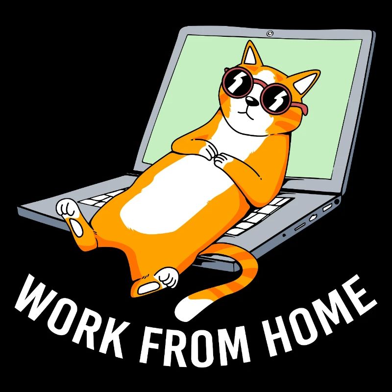 Remote home office
