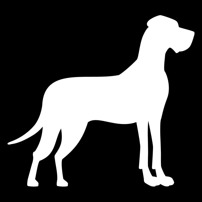 Dogge