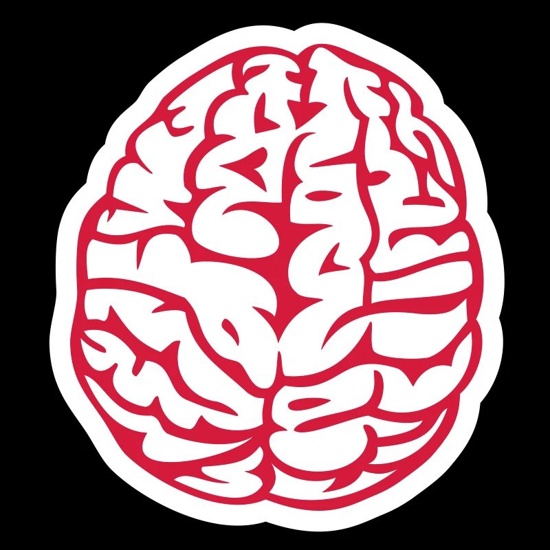 brain