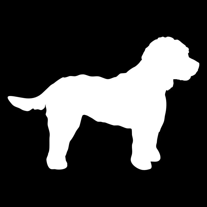 Cockapoo