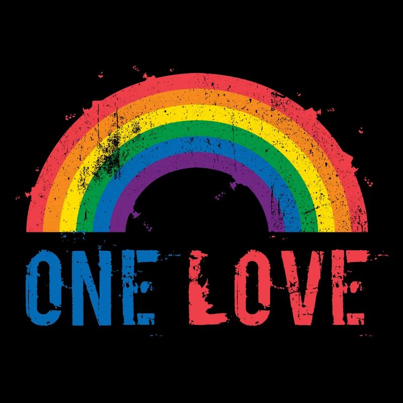 gay rainbow rainbow pride