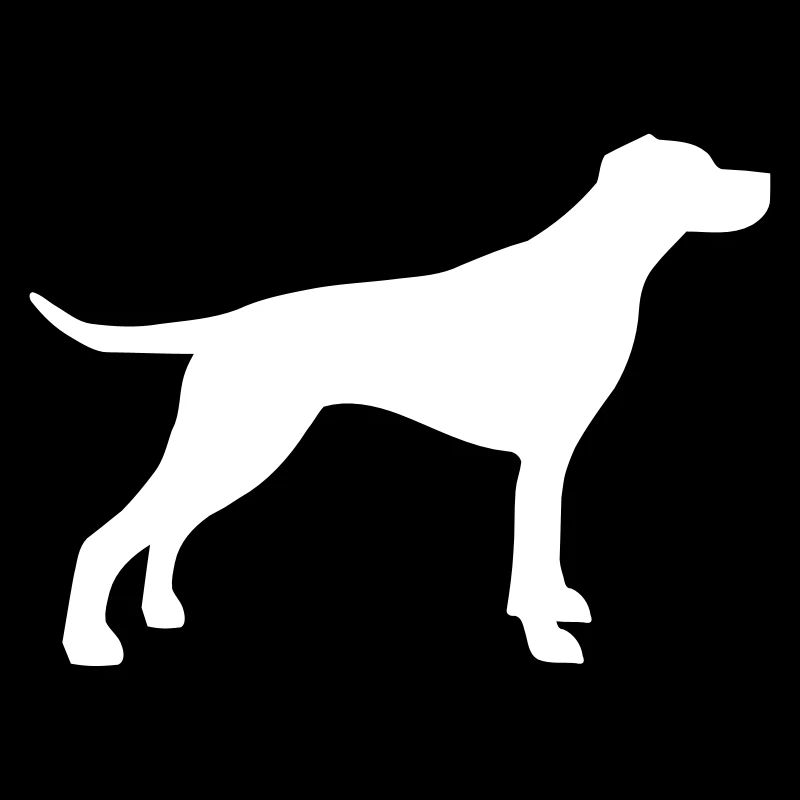 English Pointer