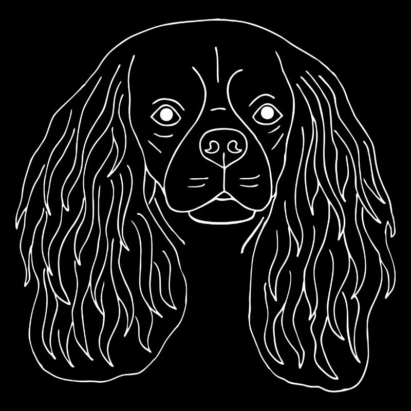 Cavalier King Charles Spaniel
