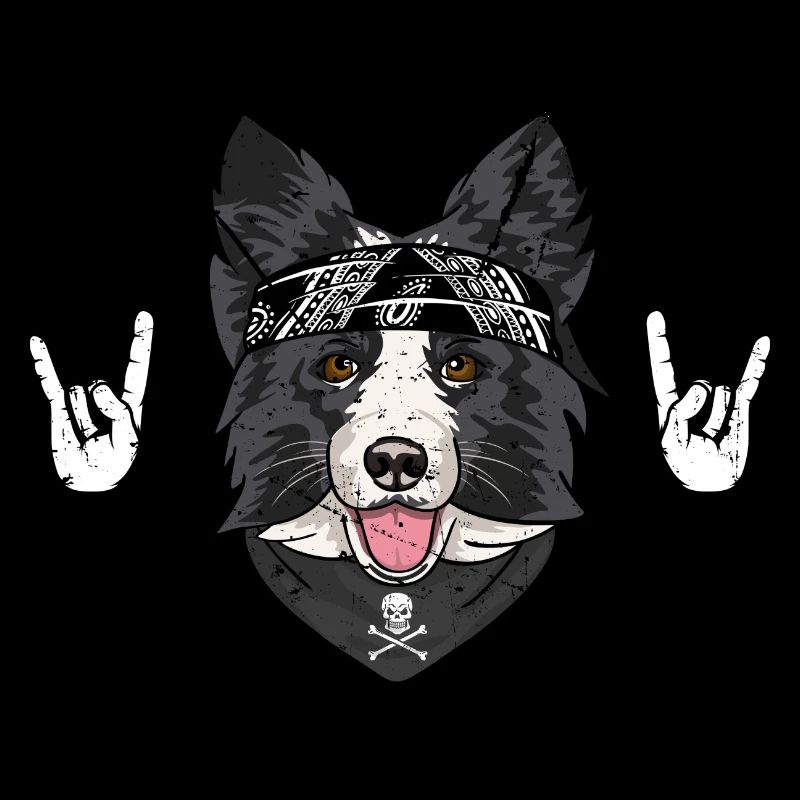 border collie