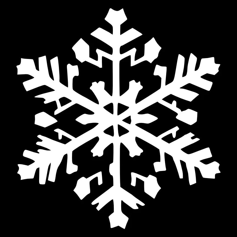 Snowflake Snow Winter Christmas Vector 10