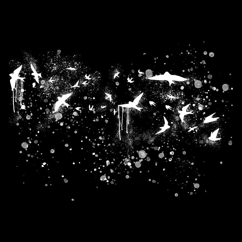 mouettes, mouettes, oiseaux, volées d’oiseaux, oiseaux, graffitis,