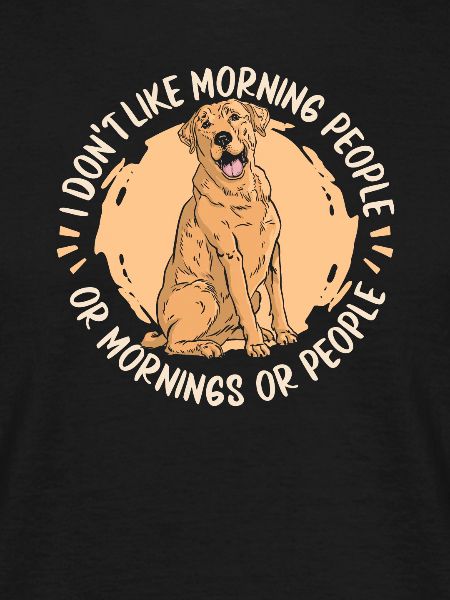 Labrador Hund