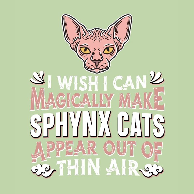 Sphynx Chat