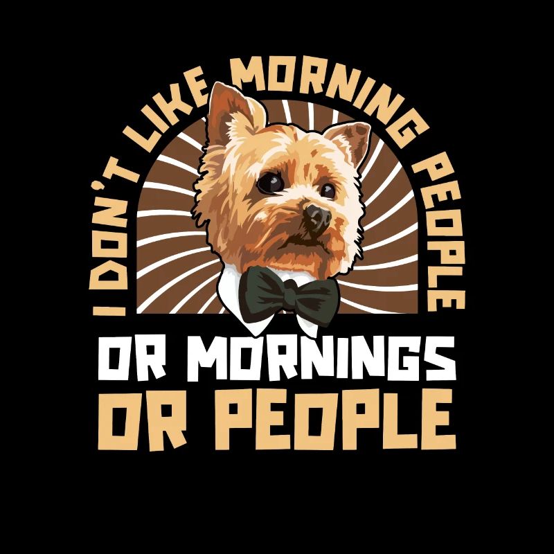 Yorkshire Terrier Hund