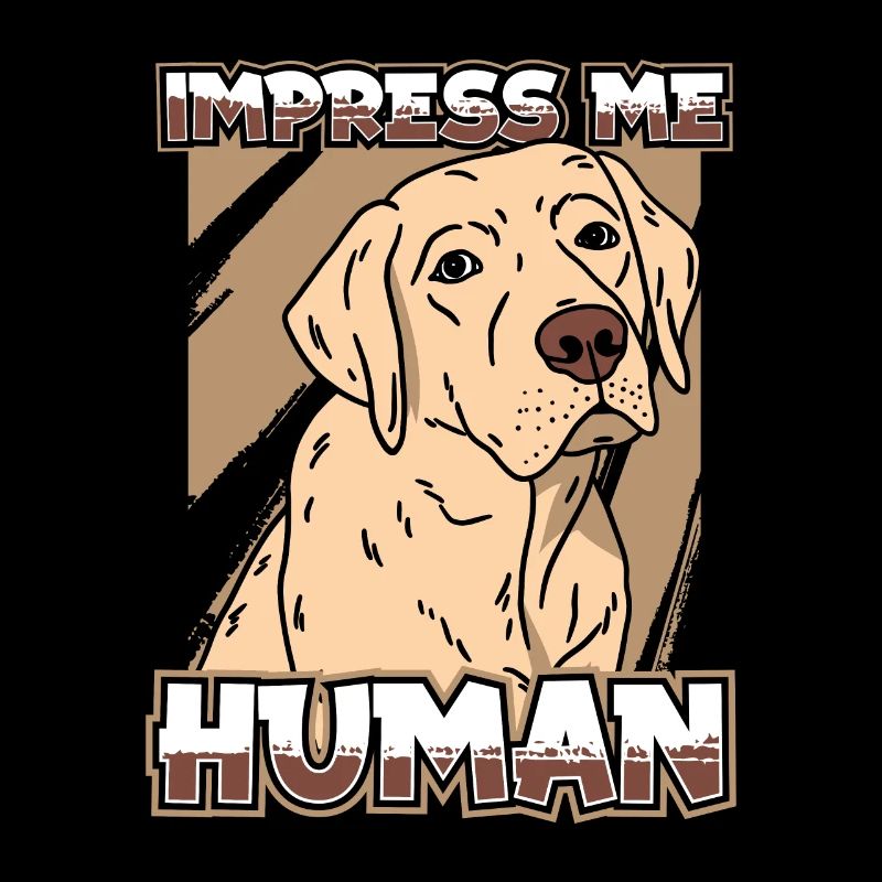 Labrador Dog