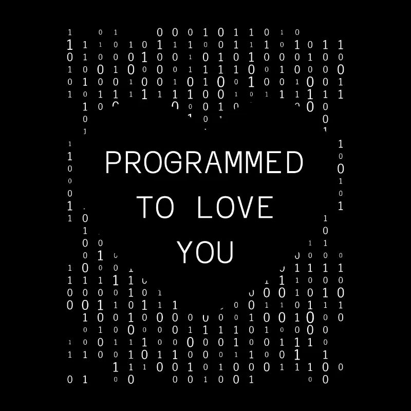 Developer Coder Programmer