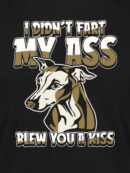 Greyhound Windhund