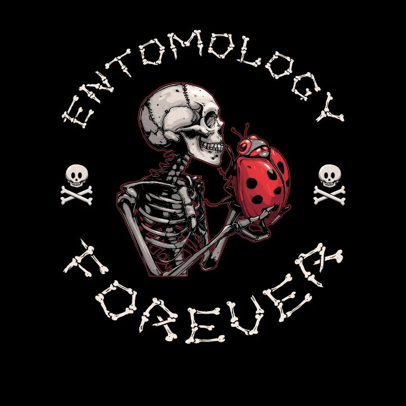 Entomologie Entomologiste Squelette d’insecte