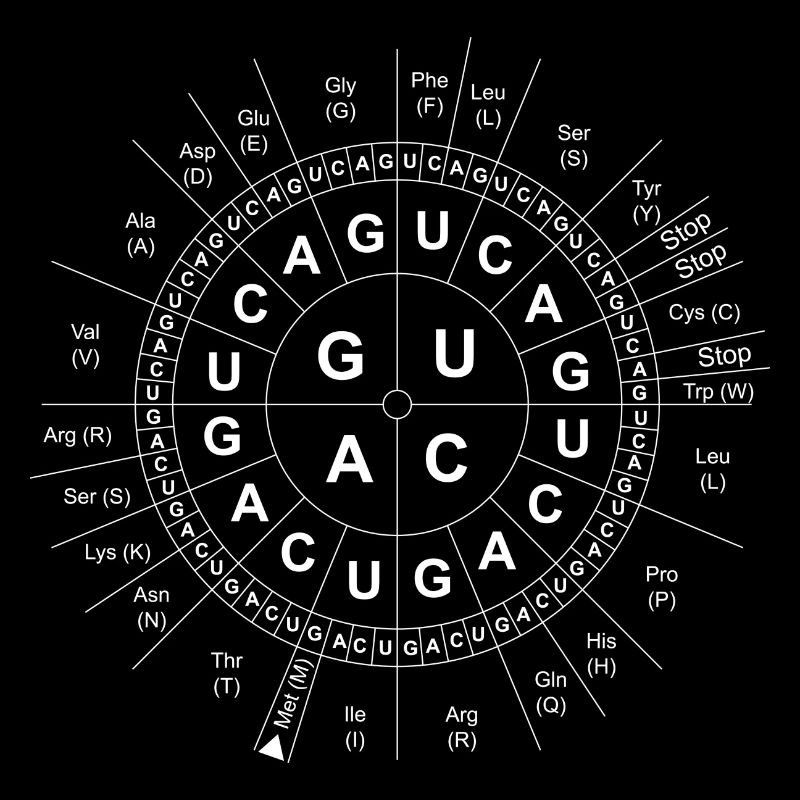 Code-Sonne/Genetik/DNA/DNS/Biologie/Wissenschaft