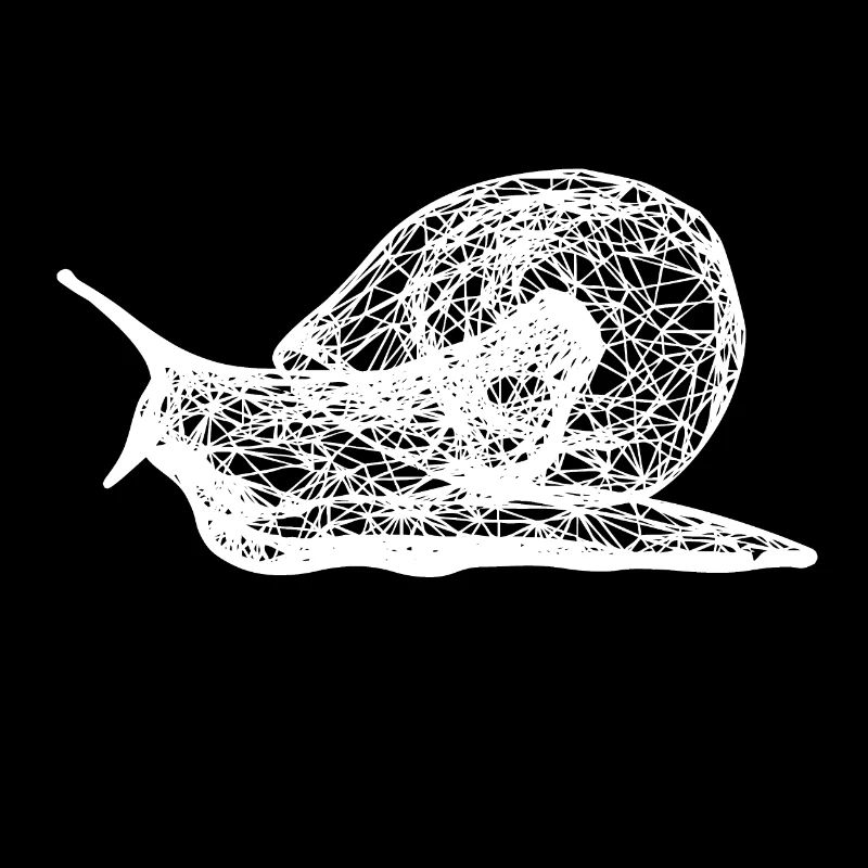 Un escargot blanc rampant dans la nature