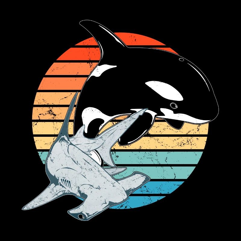 Hammerhai Orca