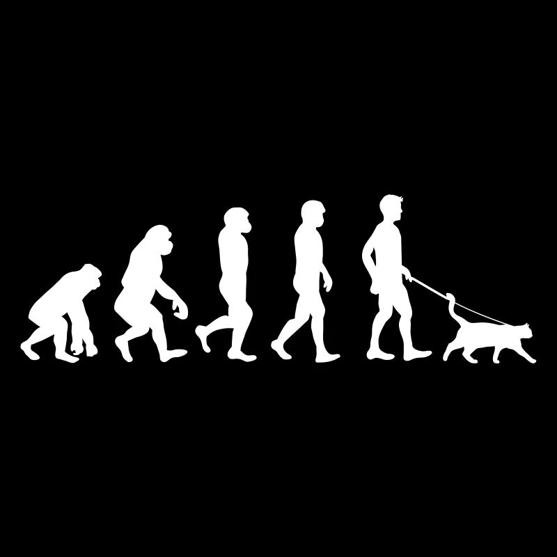 Katzen - Evolution