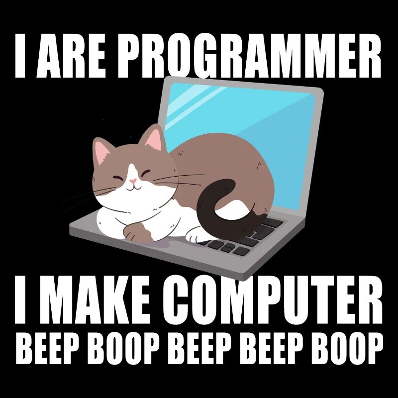 I are programmer