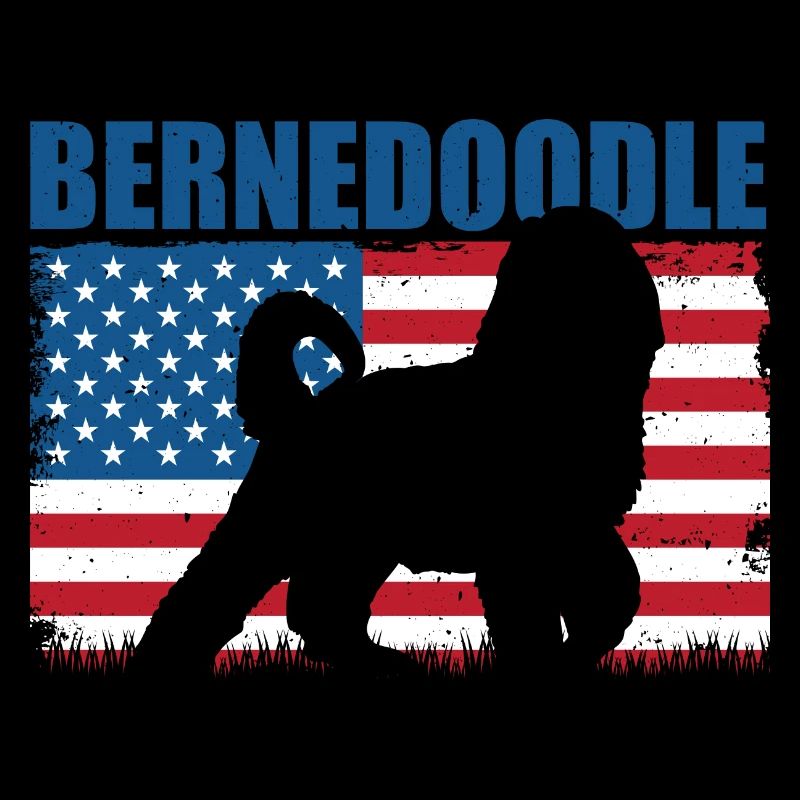 Bernedoodle Chien
