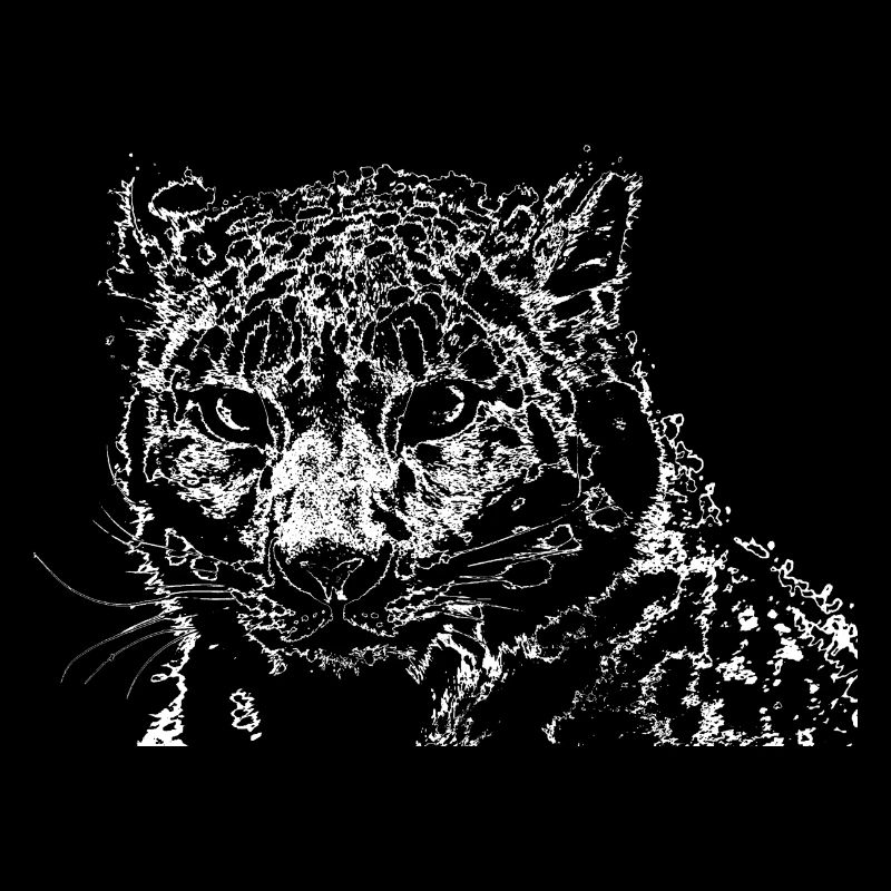 Snow leopard