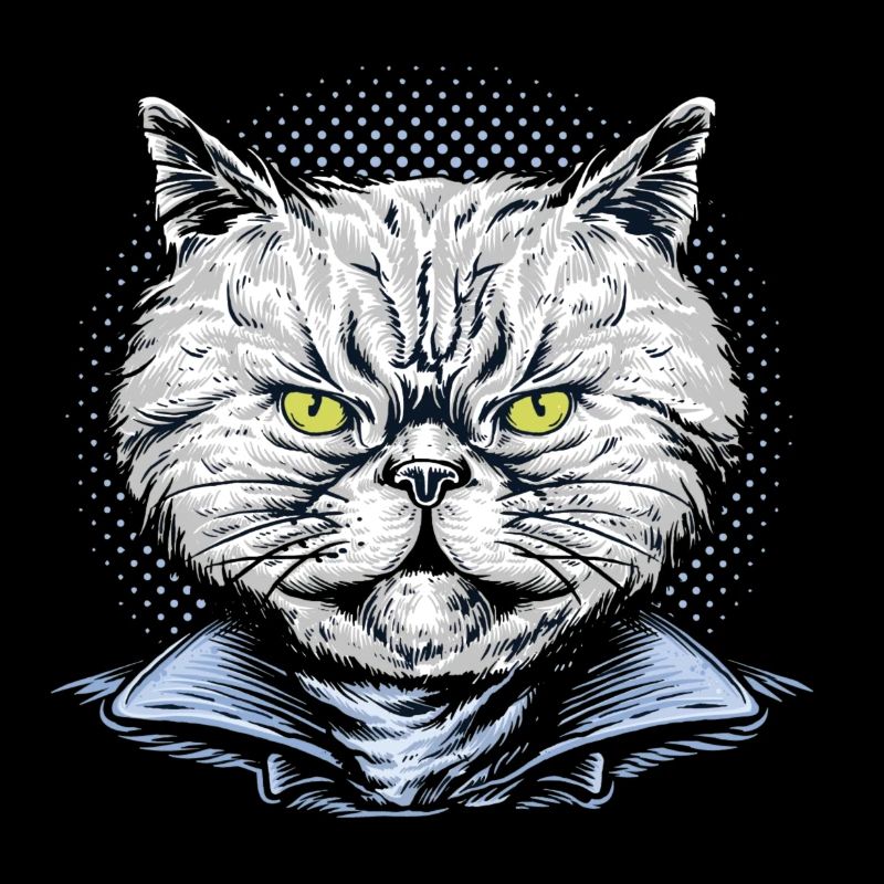 Leather Jacket Cat