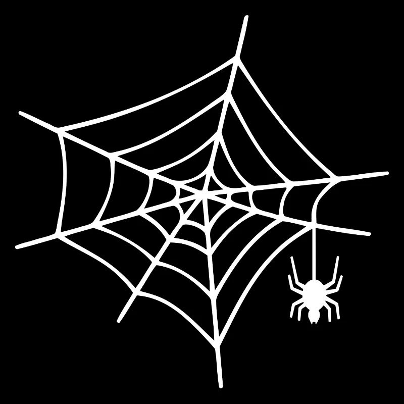 Spinnennetz Spinne