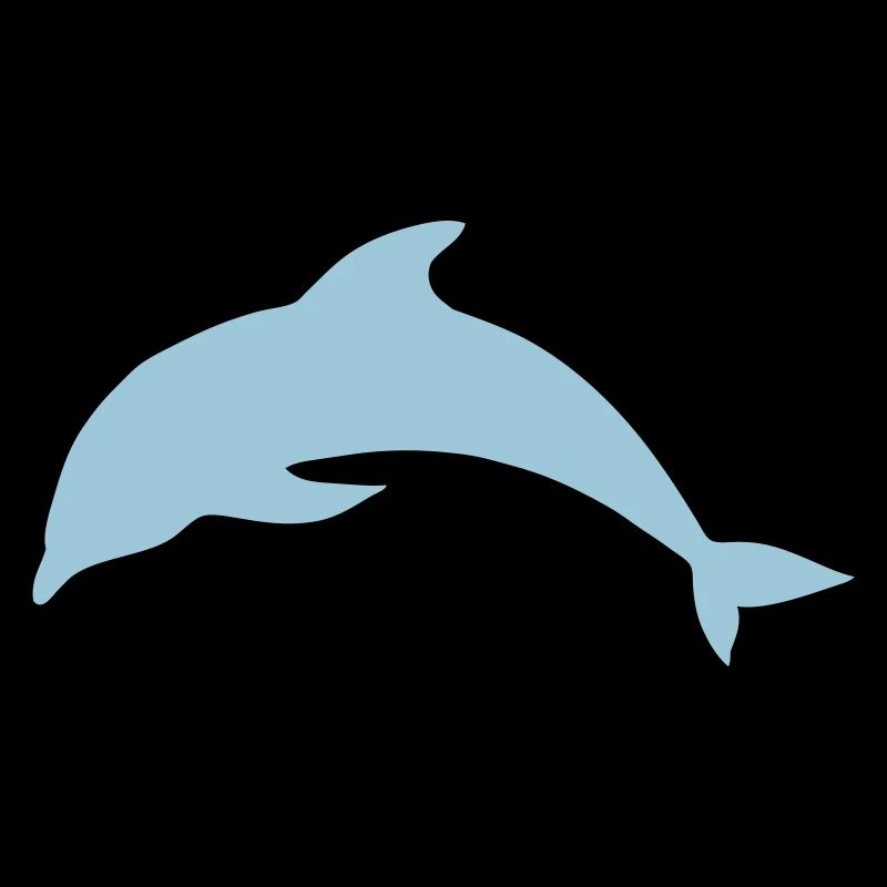 Delfin Tier Meer