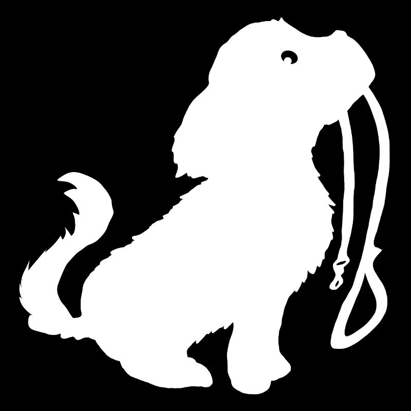 Hund mit Leine