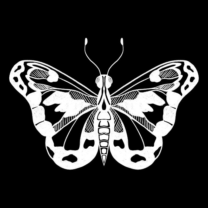 Papillon Design minimal