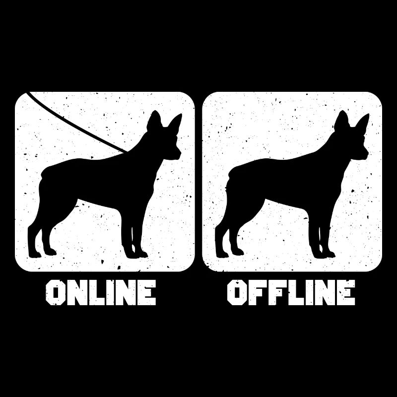 Chien de bétail australien à queue de souche