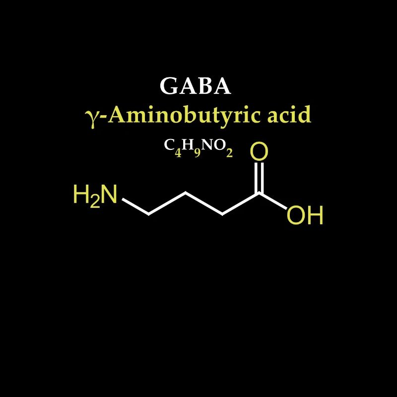 Acide gamma-aminobutyrique GABA Molécule