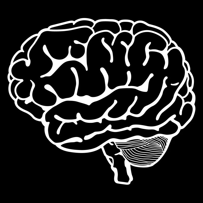 Cerveau