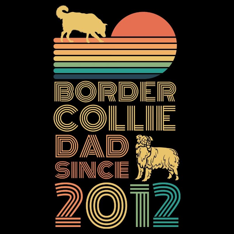 Border Collie Papa Vater seit 2012