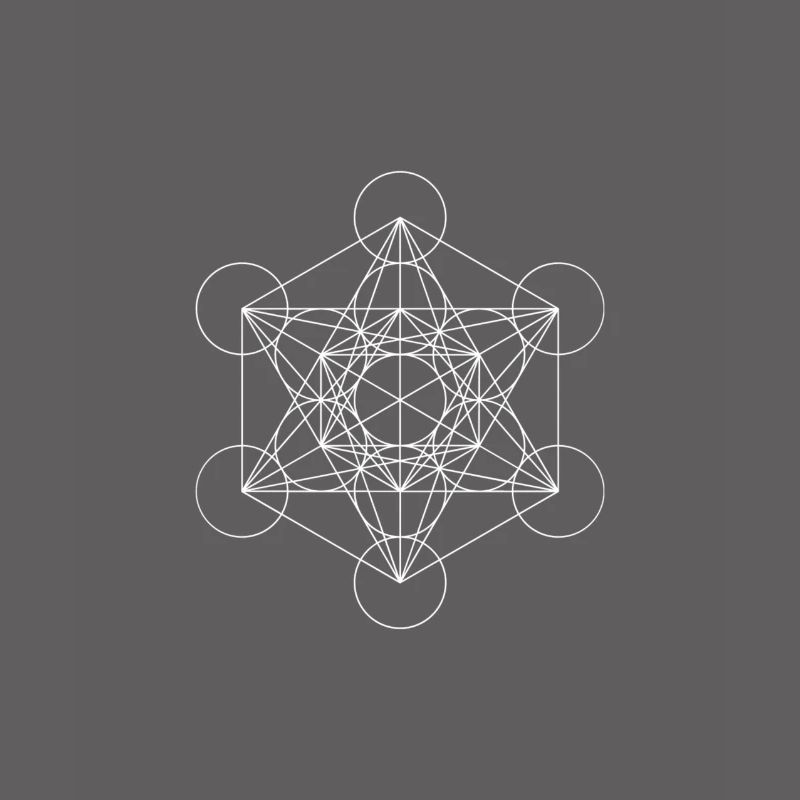 Metatron's Cube