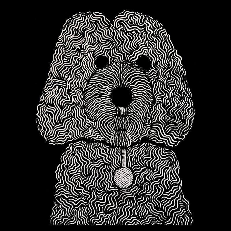 Cockapoo
