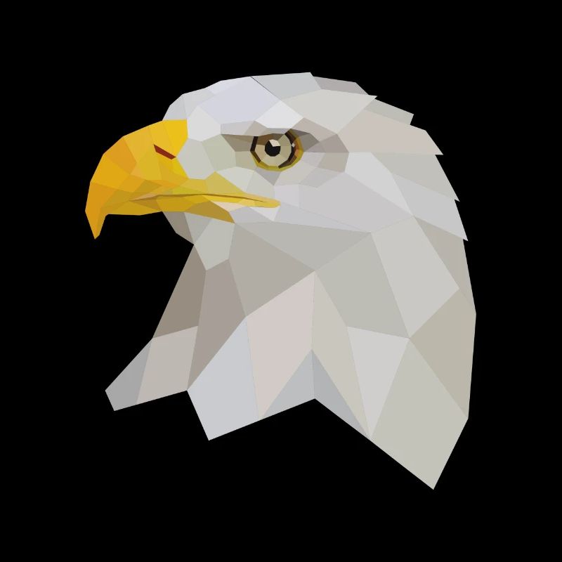 Aigle à tête blanche