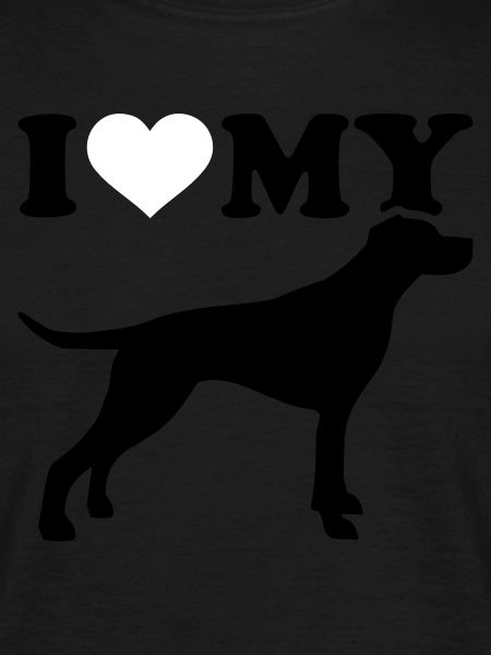 English Pointer