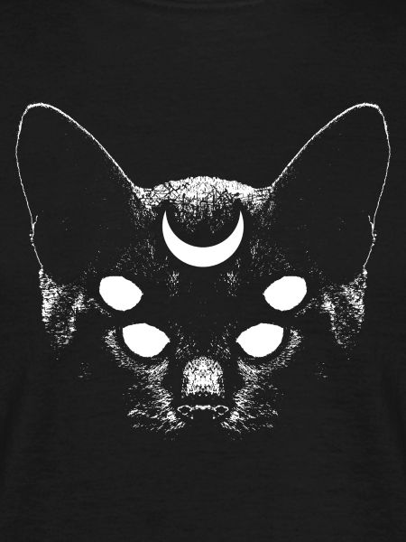 Magic Cat