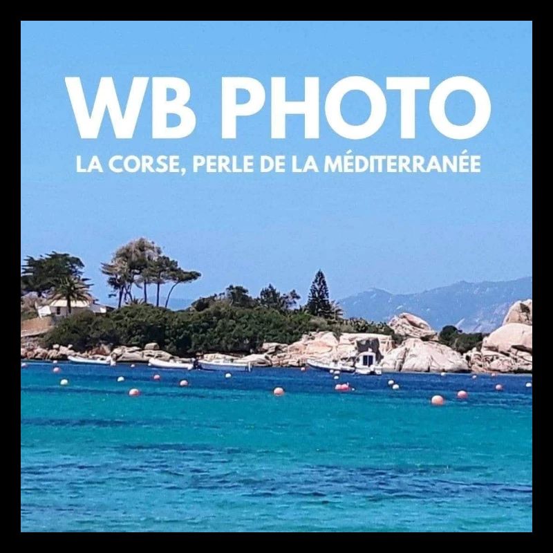 WBP 1 MINIATUR