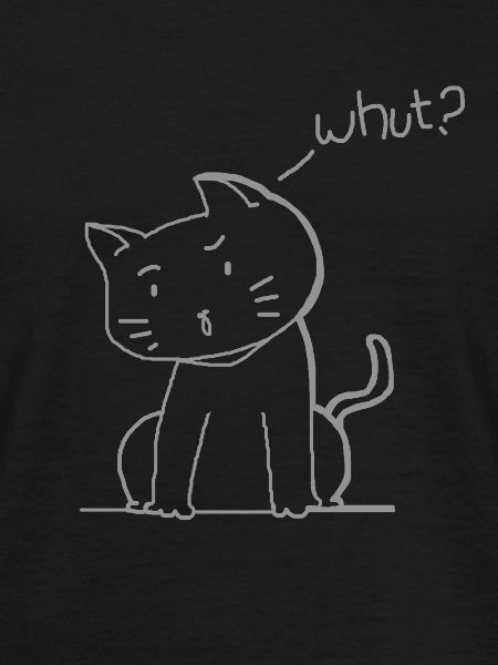 Chat mignon