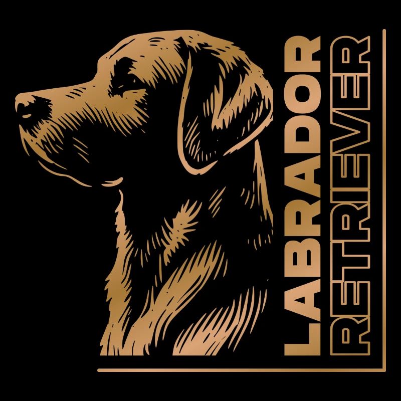Labrador dessin tête or