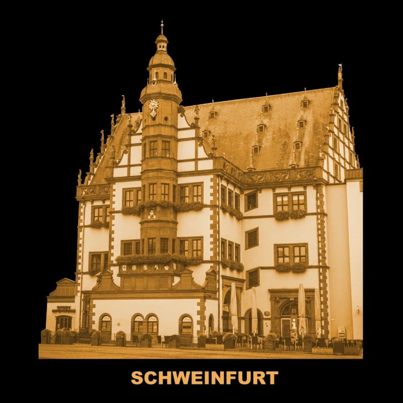 Schweinfurt Town Hall Main Basse-franconie Bavière