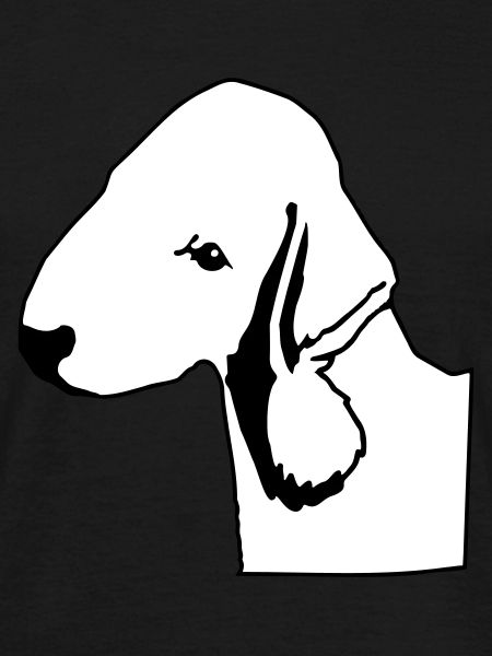 Bedlington Terrier